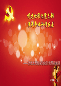 标准化党支部建设课件