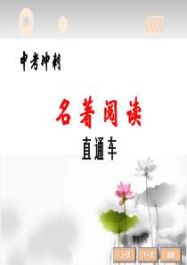 名著阅读鲁滨逊