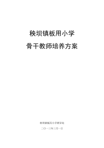 2013骨干教师培养方案
