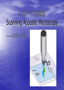扫描声学显微技术――原理与应用