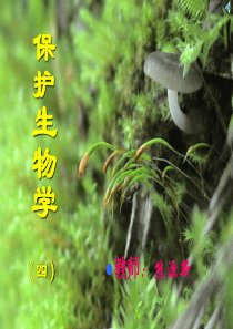 保护生物学基础(2)