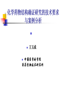化学药物结构确证研究的技术要求与案例分析王玉成