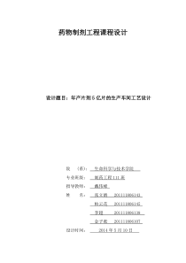 年产5亿片剂工艺