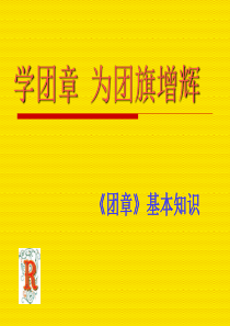 团的基本知识ppt - PowerPoint Presentation