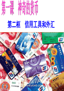 信用卡、支票和外汇(2017最新课件)