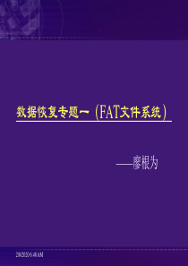 数据恢复技术专题-fat文件系统