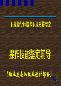 职业指导师鉴定操作技能辅导-职业发展和职业设计(081029)