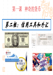 1.2信用工具和外汇