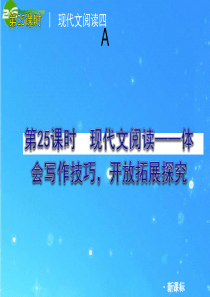2011届中考语文复习方案 第25课时 散文阅读―体会写作技巧,开放拓展探究课件 人教新课标版