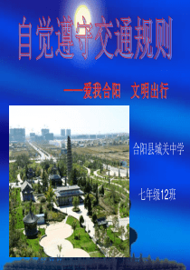 2017最新“遵守交规 文明出行”主题班会