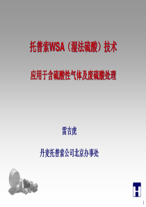 WSA炼油方面应用介绍2011-8-22[1]