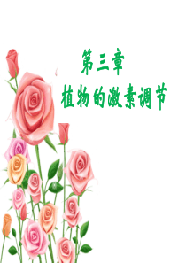 生长素的发现PPT