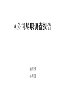德隆投资报告模本-尽职调查报告