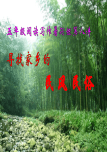 五年级阅读写作暑期班第八讲写民俗民风