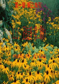 正弦定理第二课时演示文稿2