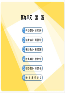 2014届中考化学一轮复习-第九单元《溶液》(考点梳理+核心要点+经典真题+综合检测)课件-新人教版