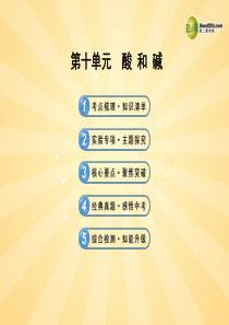 中考化学一轮复习-第十单元《酸和碱》(考点梳理+核心要点+经典真题+综合检测)课件-新人教版