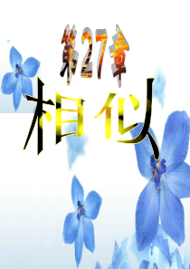 图形的相似优质课-