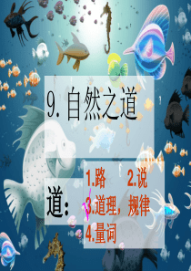9.自然之道(完美版)精品ppt课件