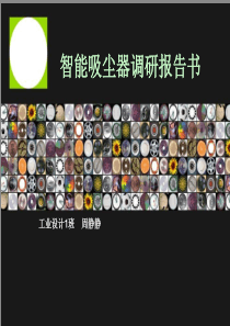 吸尘器调研报告书1