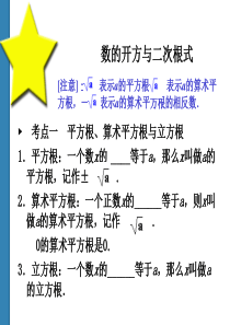 中考复习——数的开方与二次根式