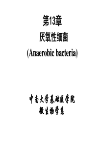 一年级数学百数表教学设计