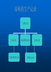 原料药生产记录
