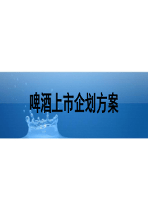 啤酒上市企划方案