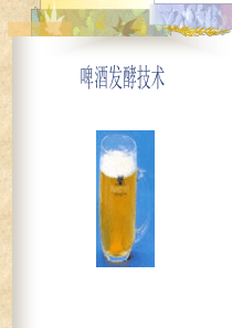 啤酒发酵 新新