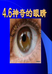 46_神奇的眼睛(1)