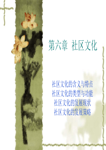 社区文化