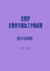 变量编程