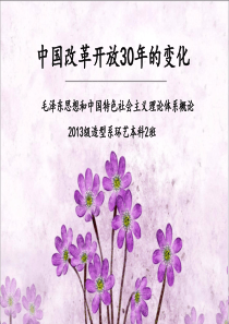 改革开放三十年的成就ppt