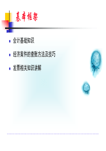 纪检查账技术