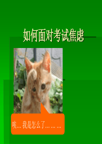 心理健康教育课件《如何面对考试焦虑》