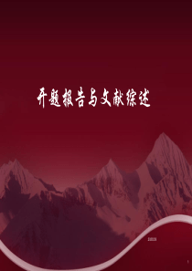 开题报告与文献综述