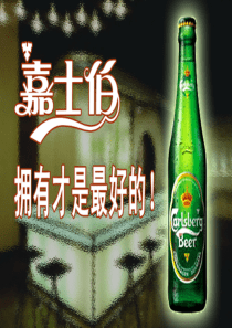 嘉士伯啤酒广告策略(PPT 26)