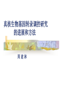 转录调控-研究生教学课件