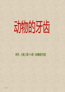 科学大班上第十六周+《动物的牙齿》