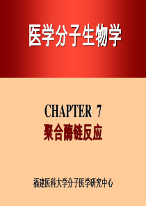 研究生_PCR(聚合酶链反应)