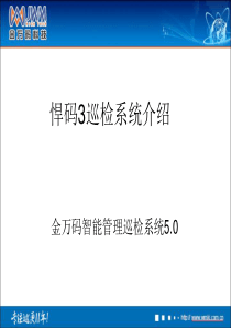 网络版BS巡更巡检系统演示