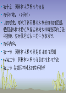 园林树木的整形与修剪