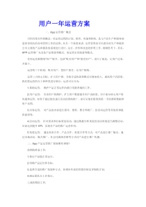 用户一年运营方案