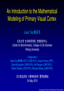 计算神经科学