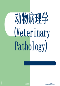 动物病理学课件