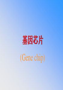 基因芯片