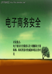 电子商务安全 报告