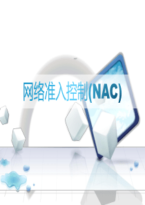 准入PPT