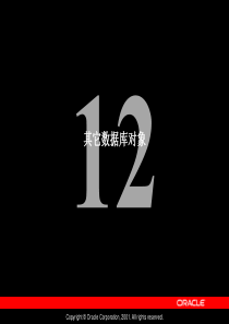 Oracle公司内部数据库培训资料Les12