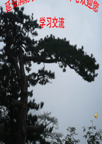 第四章-消防水力学基础知识 建(构)筑物消防员